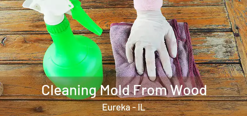  Cleaning Mold From Wood Eureka - IL