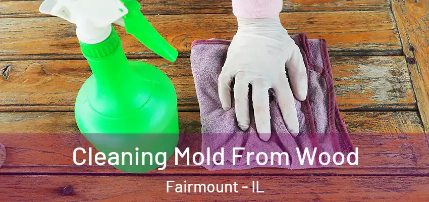  Cleaning Mold From Wood Fairmount - IL