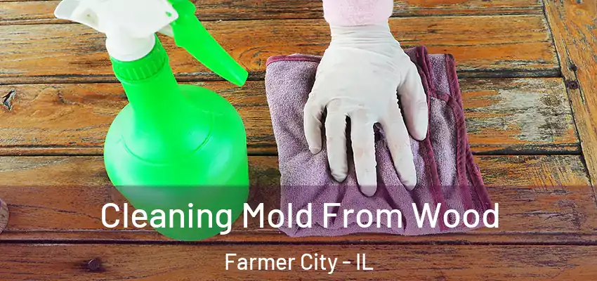  Cleaning Mold From Wood Farmer City - IL
