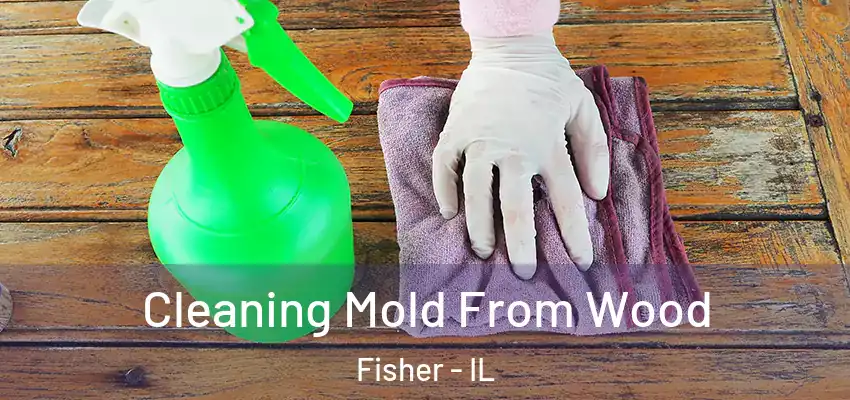  Cleaning Mold From Wood Fisher - IL