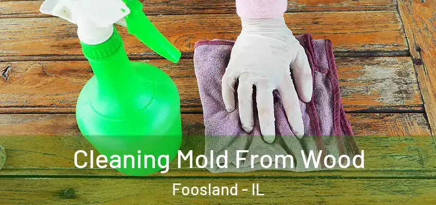  Cleaning Mold From Wood Foosland - IL