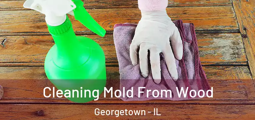  Cleaning Mold From Wood Georgetown - IL