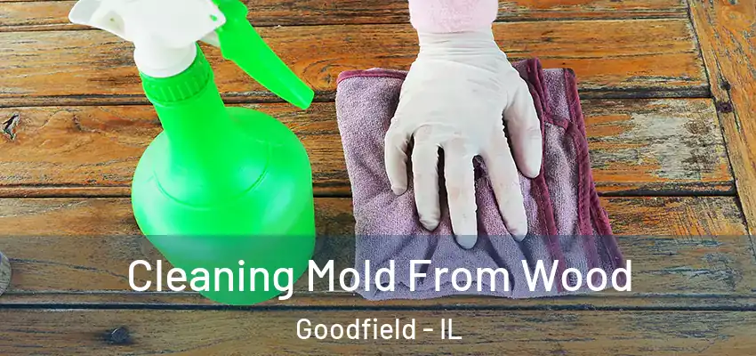  Cleaning Mold From Wood Goodfield - IL