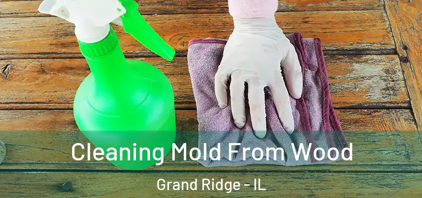  Cleaning Mold From Wood Grand Ridge - IL