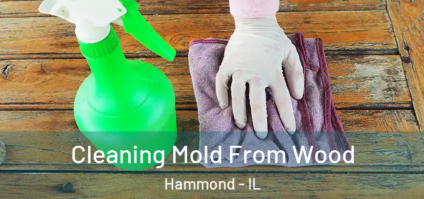  Cleaning Mold From Wood Hammond - IL