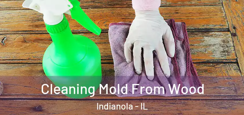  Cleaning Mold From Wood Indianola - IL