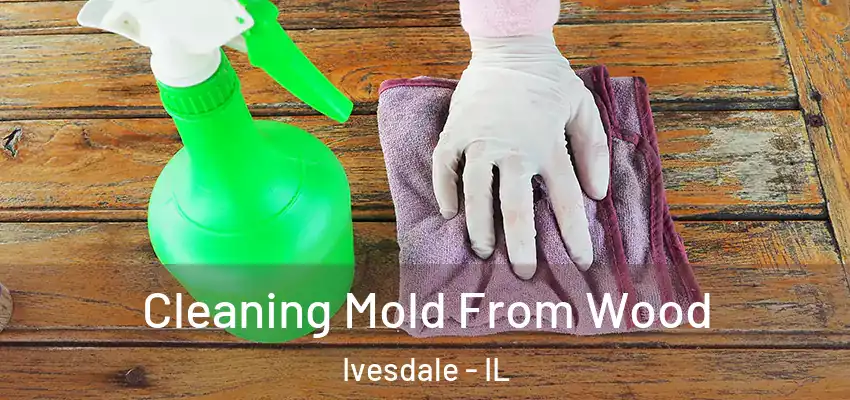  Cleaning Mold From Wood Ivesdale - IL