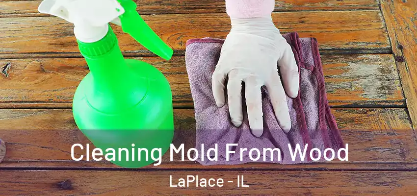  Cleaning Mold From Wood LaPlace - IL