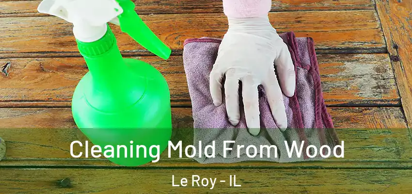  Cleaning Mold From Wood Le Roy - IL