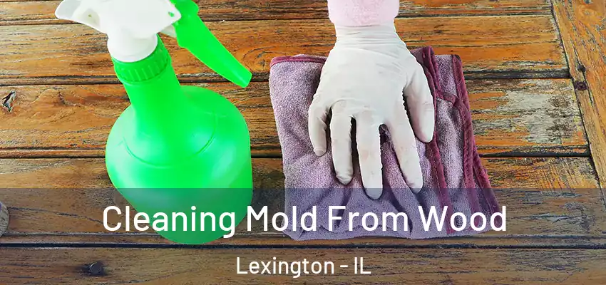 Cleaning Mold From Wood Lexington - IL