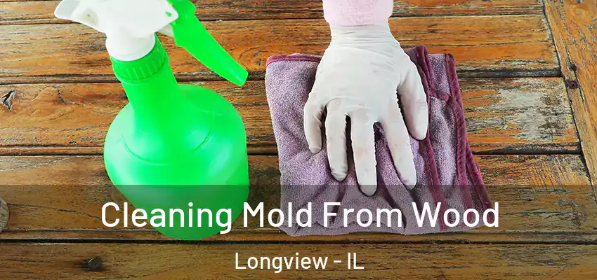  Cleaning Mold From Wood Longview - IL