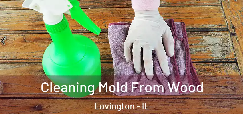  Cleaning Mold From Wood Lovington - IL