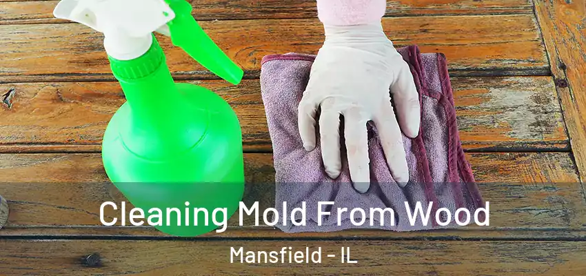  Cleaning Mold From Wood Mansfield - IL