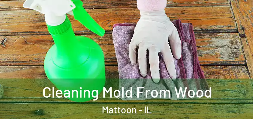  Cleaning Mold From Wood Mattoon - IL