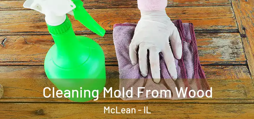  Cleaning Mold From Wood McLean - IL
