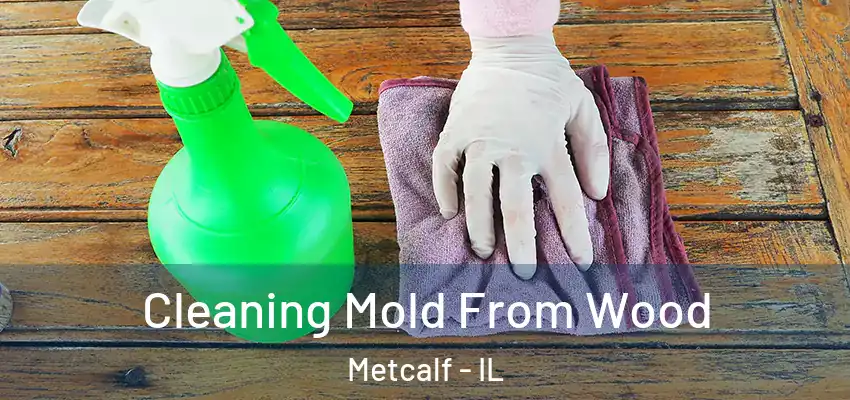  Cleaning Mold From Wood Metcalf - IL