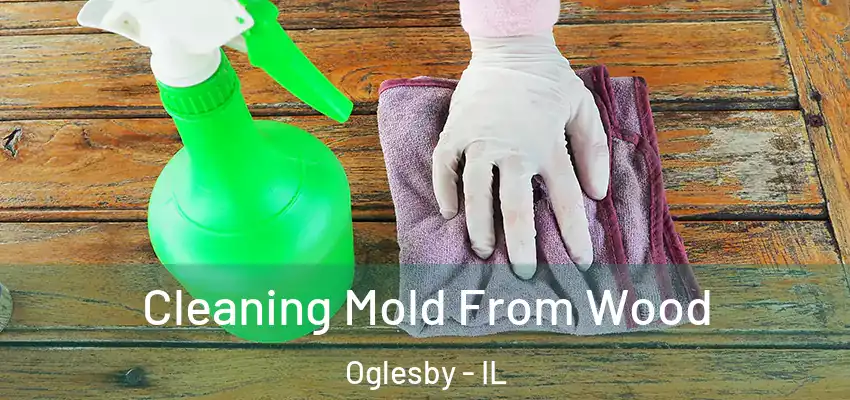  Cleaning Mold From Wood Oglesby - IL