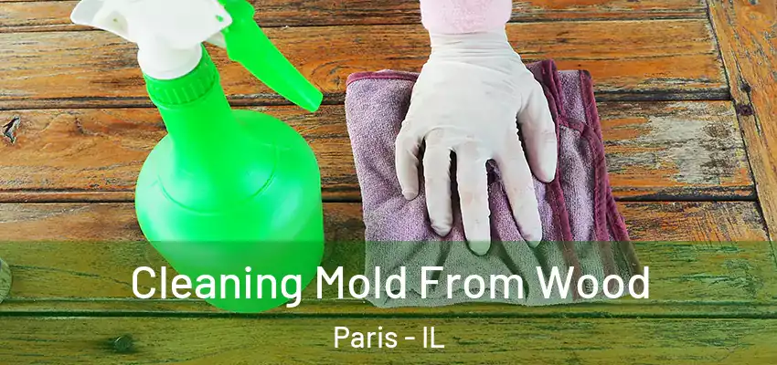  Cleaning Mold From Wood Paris - IL