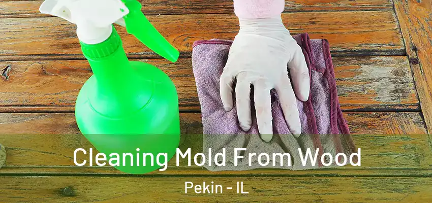  Cleaning Mold From Wood Pekin - IL