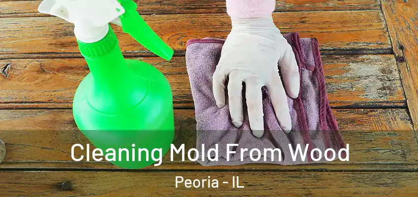  Cleaning Mold From Wood Peoria - IL