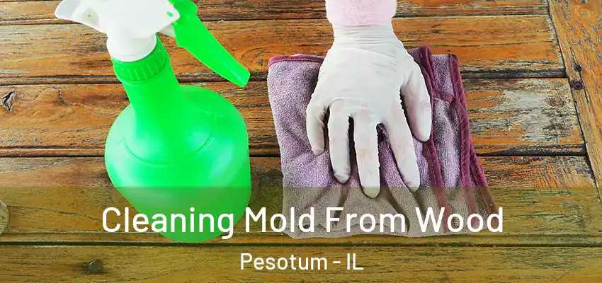  Cleaning Mold From Wood Pesotum - IL