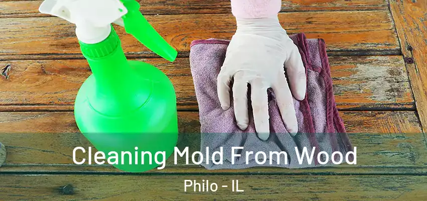  Cleaning Mold From Wood Philo - IL