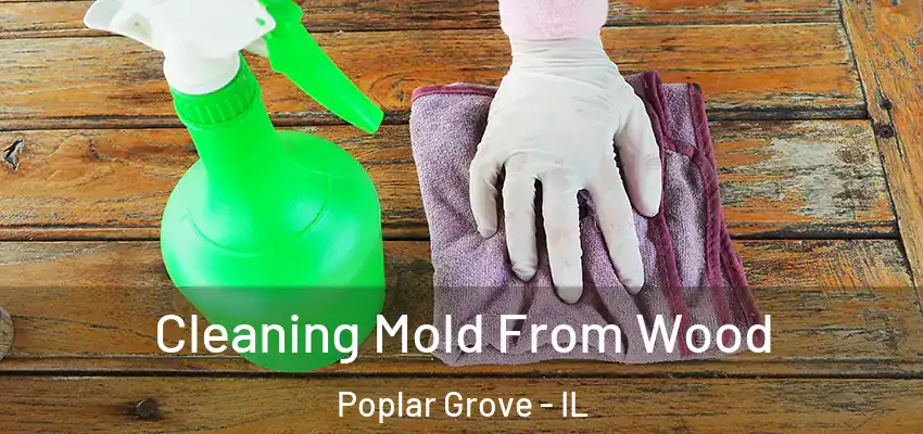  Cleaning Mold From Wood Poplar Grove - IL