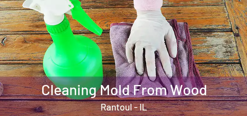  Cleaning Mold From Wood Rantoul - IL