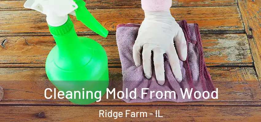  Cleaning Mold From Wood Ridge Farm - IL