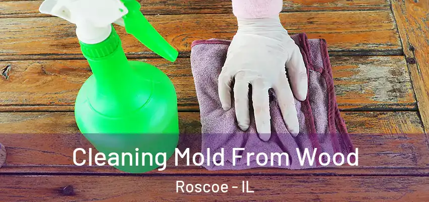  Cleaning Mold From Wood Roscoe - IL