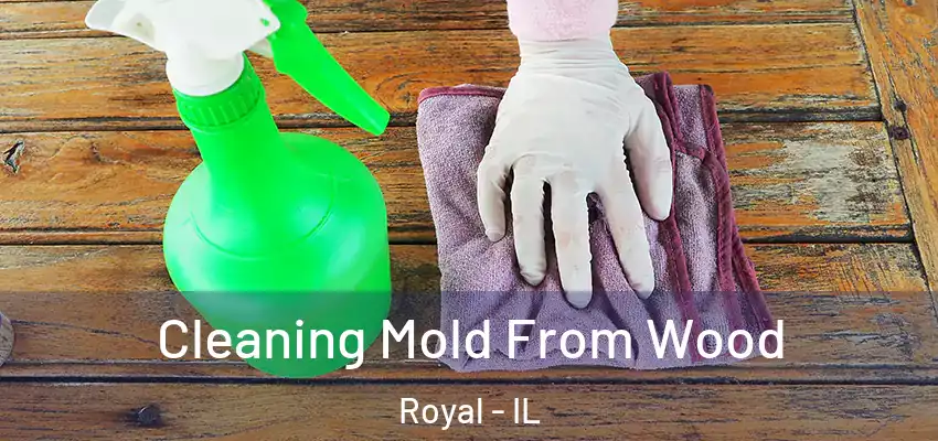  Cleaning Mold From Wood Royal - IL