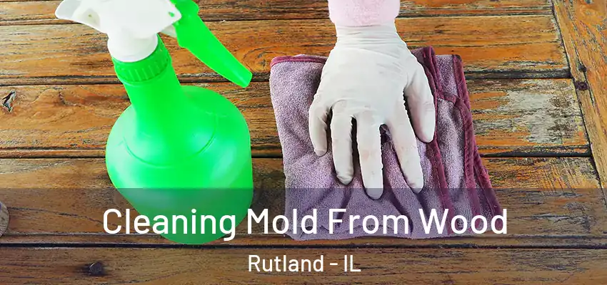  Cleaning Mold From Wood Rutland - IL