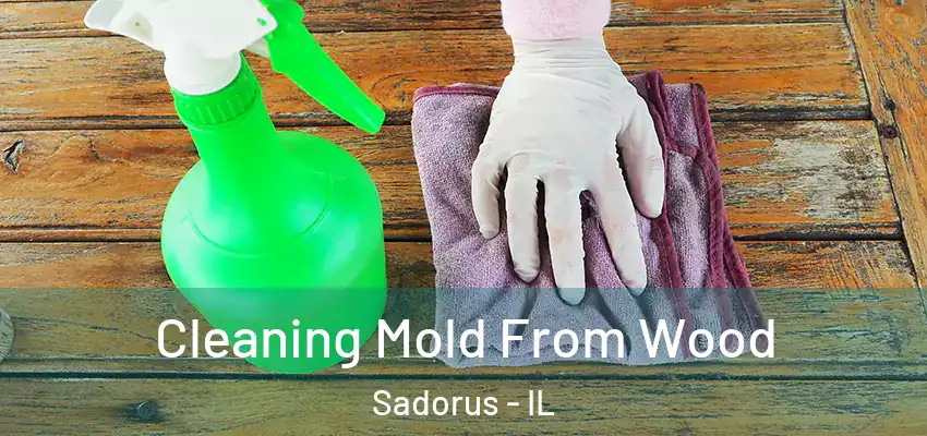  Cleaning Mold From Wood Sadorus - IL