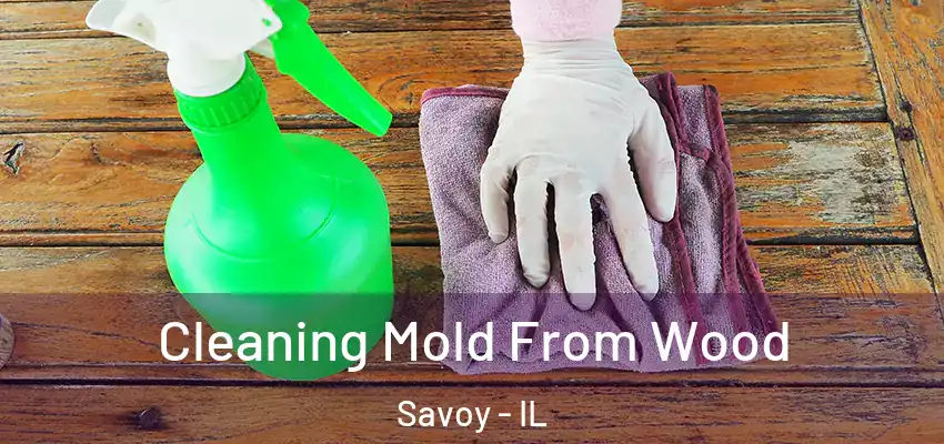 Cleaning Mold From Wood Savoy - IL