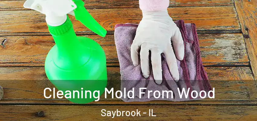  Cleaning Mold From Wood Saybrook - IL