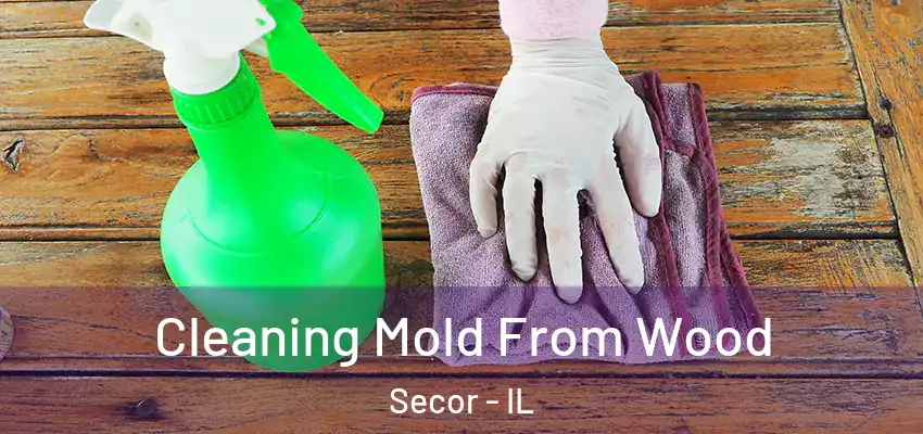  Cleaning Mold From Wood Secor - IL