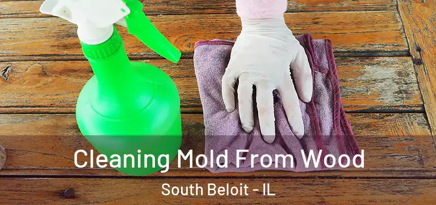 Cleaning Mold From Wood South Beloit - IL