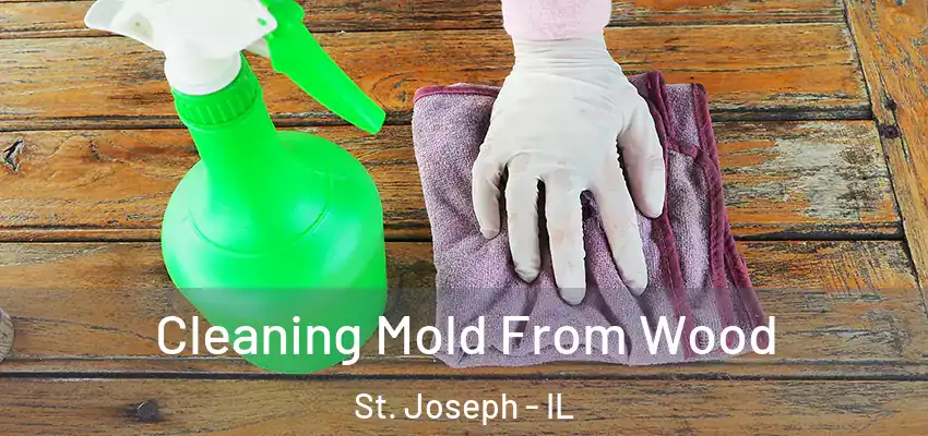  Cleaning Mold From Wood St. Joseph - IL