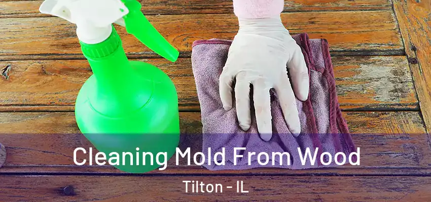  Cleaning Mold From Wood Tilton - IL