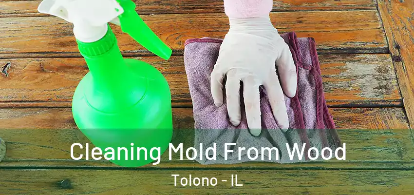  Cleaning Mold From Wood Tolono - IL