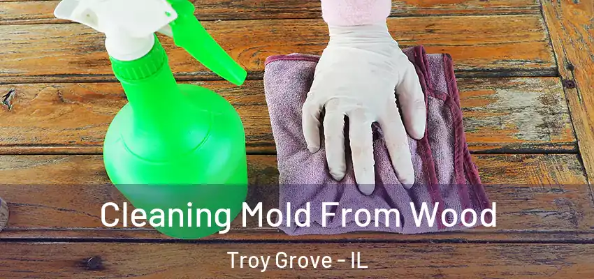  Cleaning Mold From Wood Troy Grove - IL