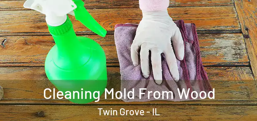  Cleaning Mold From Wood Twin Grove - IL