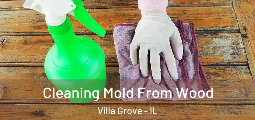  Cleaning Mold From Wood Villa Grove - IL