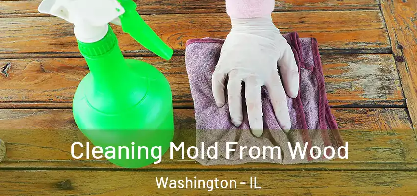  Cleaning Mold From Wood Washington - IL