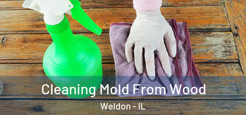  Cleaning Mold From Wood Weldon - IL