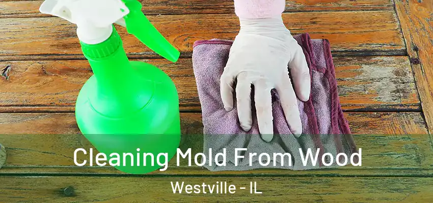  Cleaning Mold From Wood Westville - IL