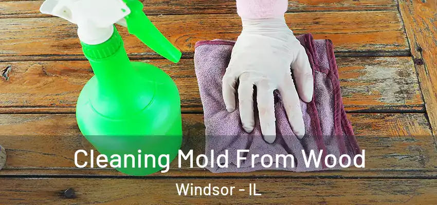  Cleaning Mold From Wood Windsor - IL