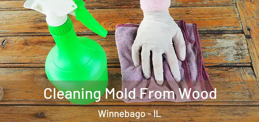  Cleaning Mold From Wood Winnebago - IL