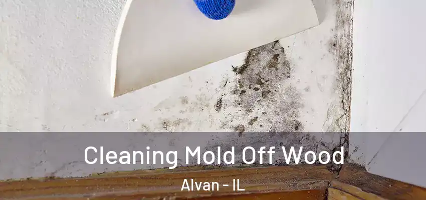  Cleaning Mold Off Wood Alvan - IL