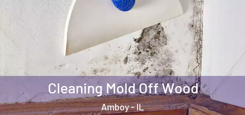  Cleaning Mold Off Wood Amboy - IL